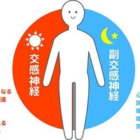 画像242