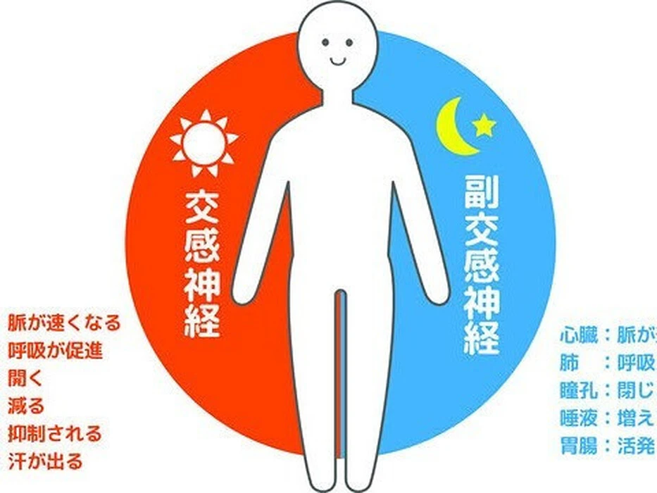 画像242