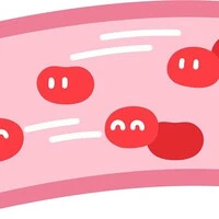 画像262